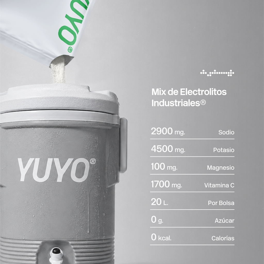 Mix de Electrolitos Industrial [20 Pack] Limón