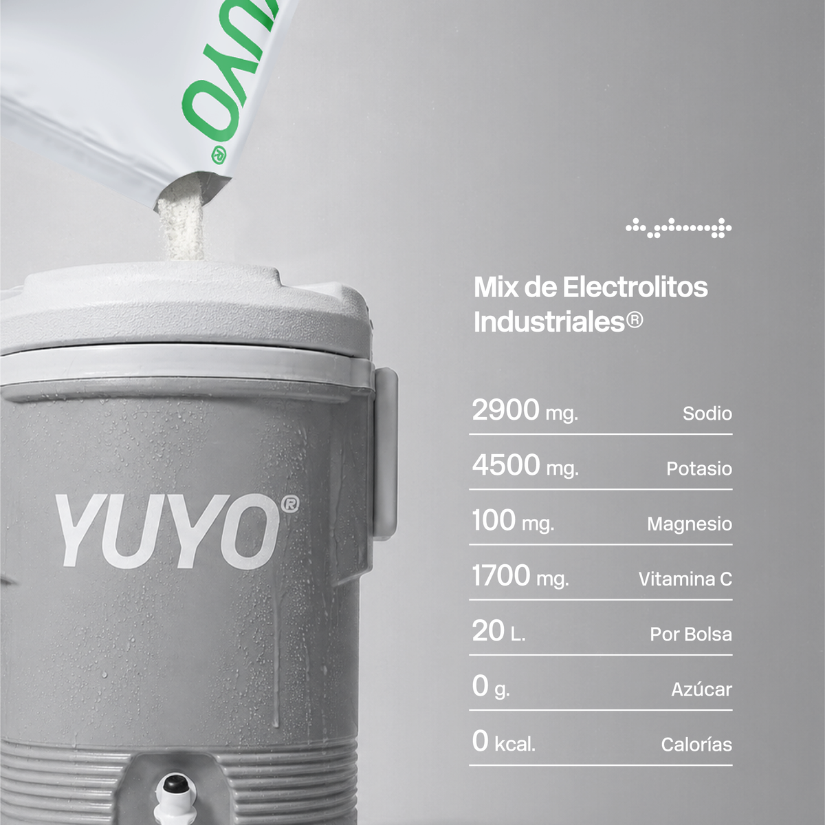Mix de Electrolitos Industrial [20 Pack] Limón