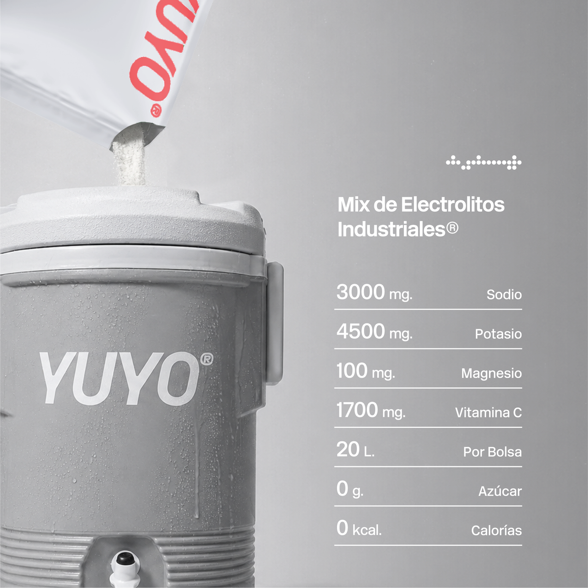 Mix de Electrolitos Industrial [20 Pack] Ponche Tropical