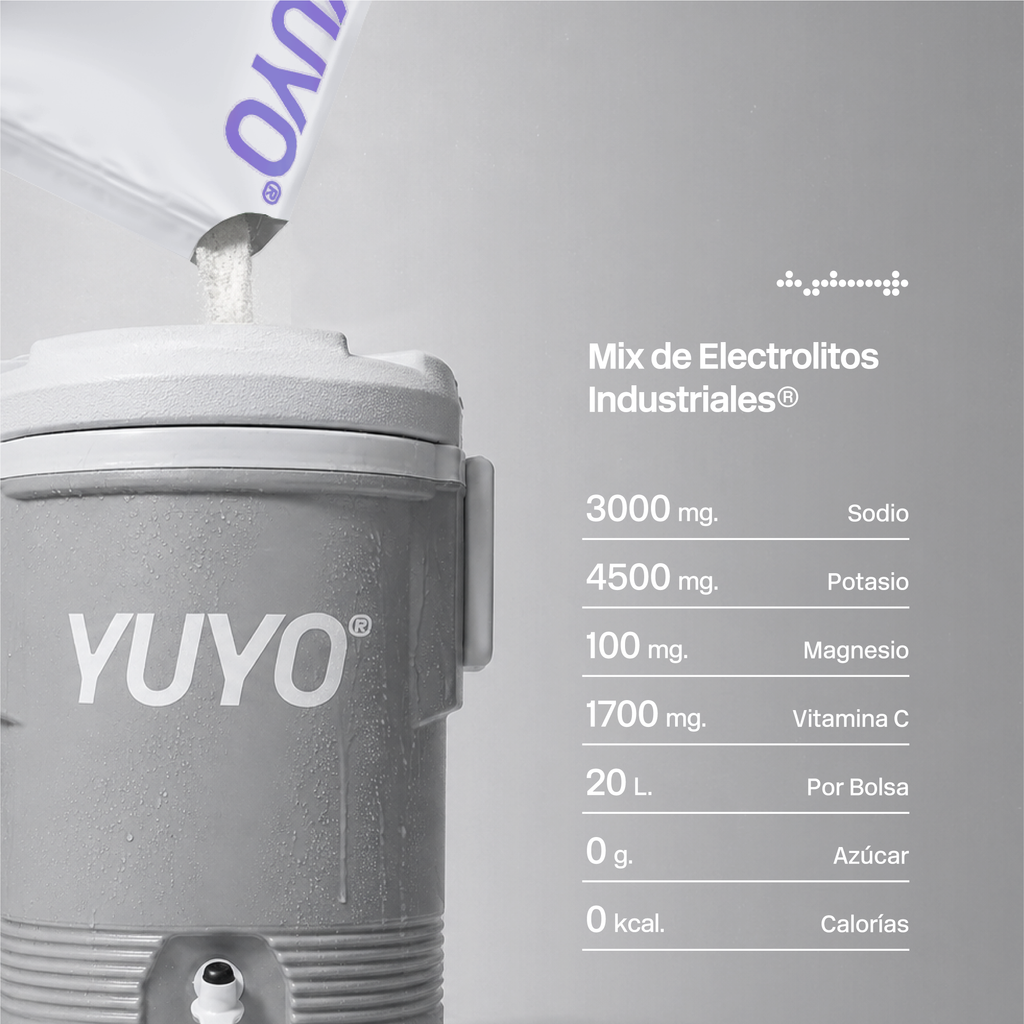 Mix de Electrolitos Industrial [20 Pack] Uva